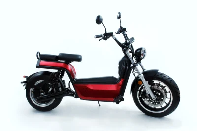 High Speed Big Power 4000W Portable 2 Wheel Manned E Kick Scooters